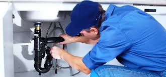 Best Plumbing System Maintenance  in Lake Delton, WI